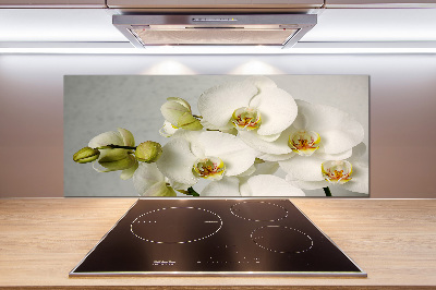 Cooker splashback White orchid