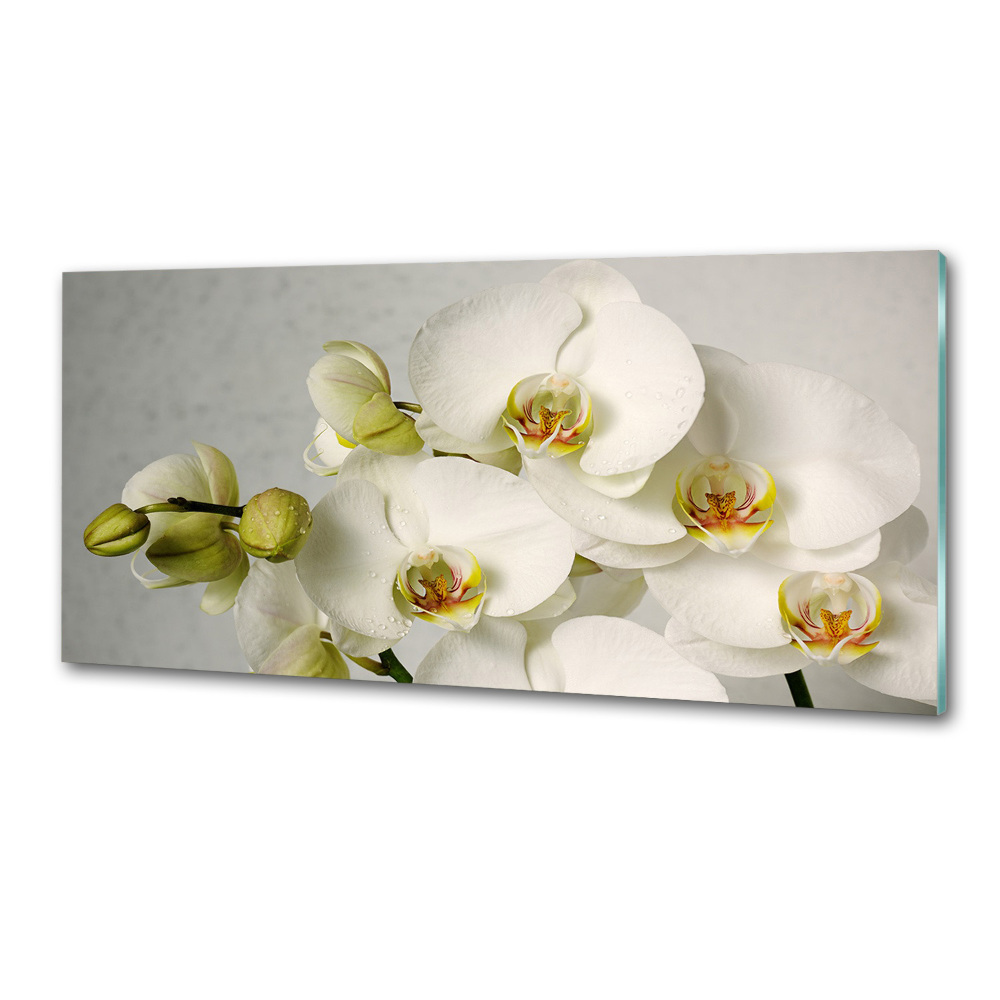 Cooker splashback White orchid