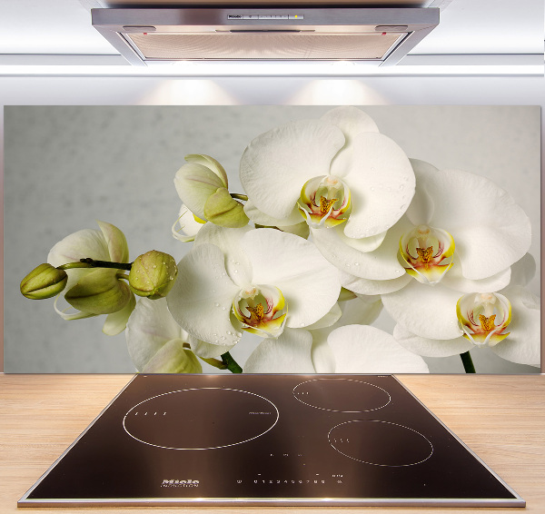 Cooker splashback White orchid