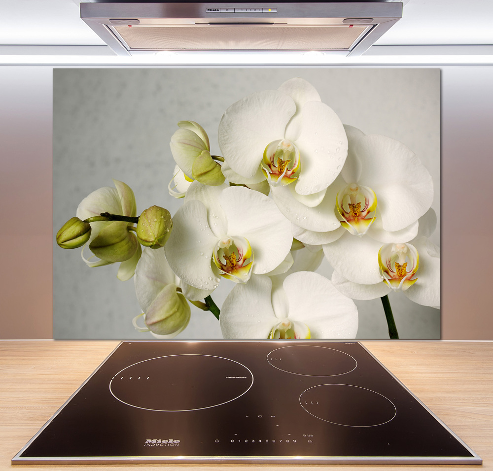 Cooker splashback White orchid