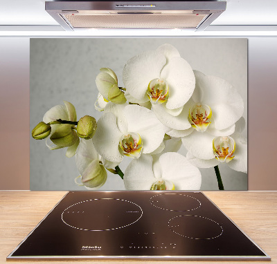 Cooker splashback White orchid