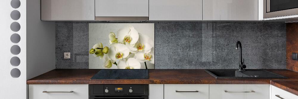 Cooker splashback White orchid