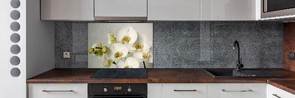 Cooker splashback White orchid