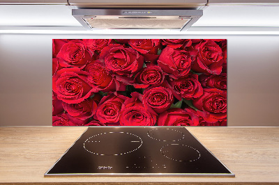 Cooker splashback Red roses