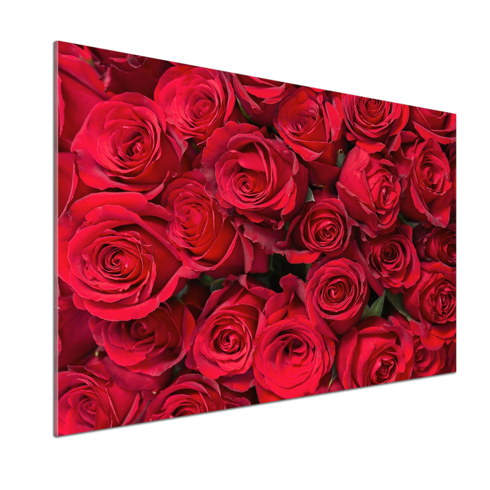 Cooker splashback Red roses