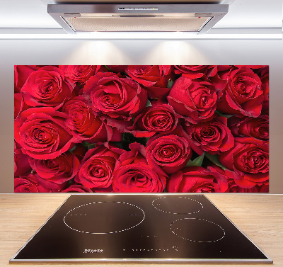 Cooker splashback Red roses