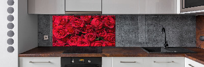 Cooker splashback Red roses