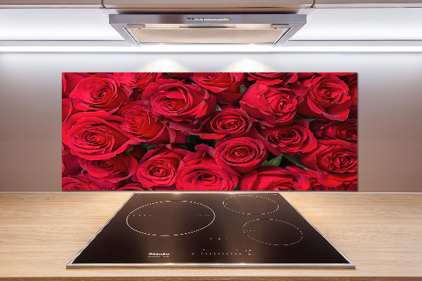 Cooker splashback Red roses