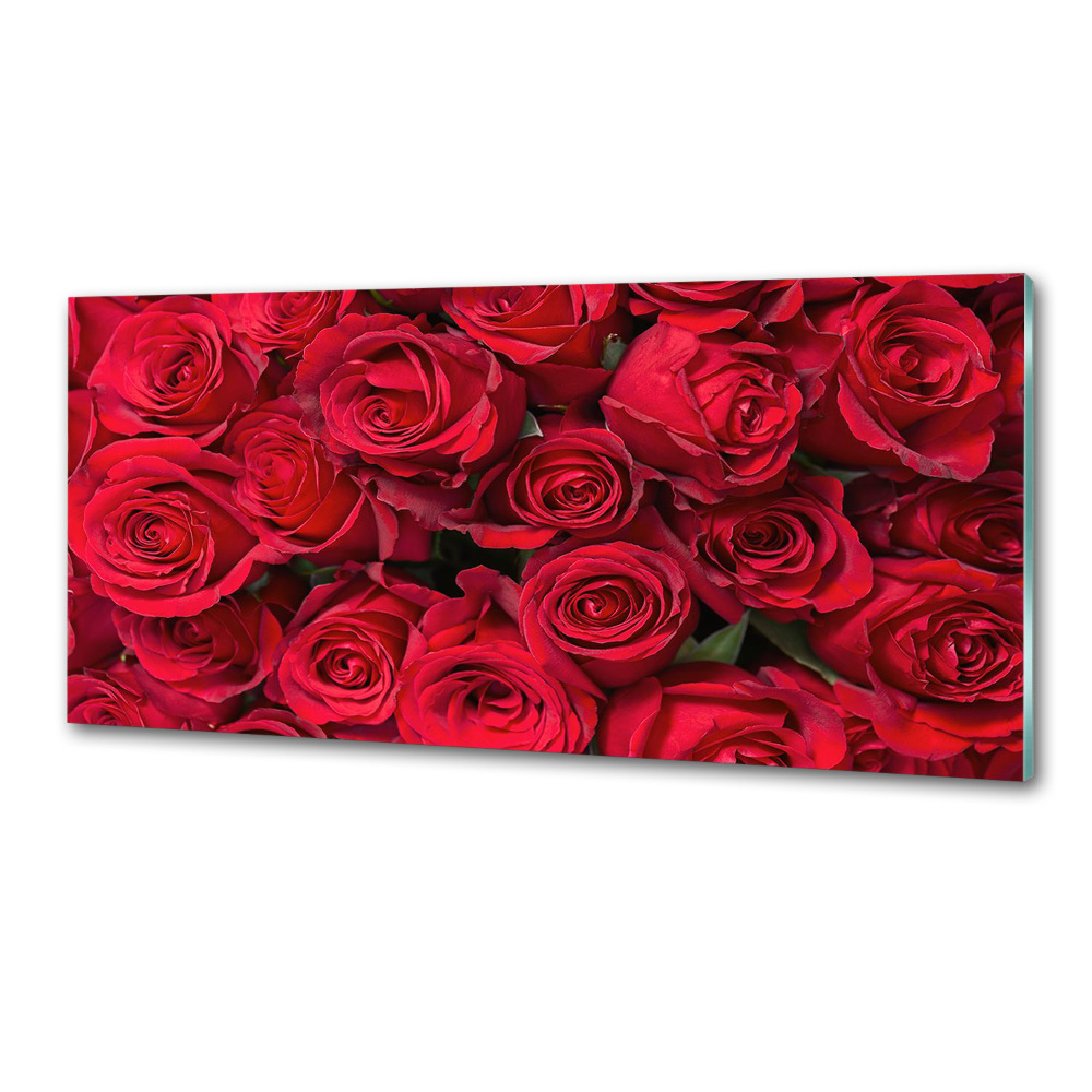 Cooker splashback Red roses