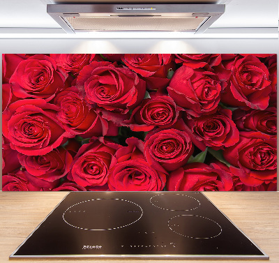 Cooker splashback Red roses