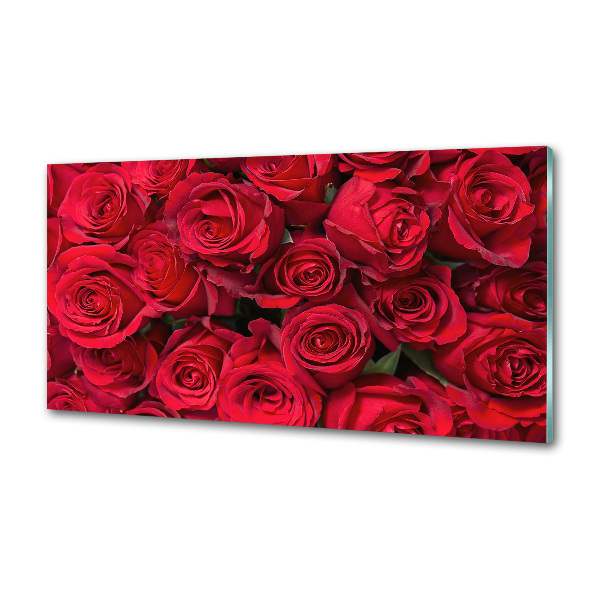 Cooker splashback Red roses