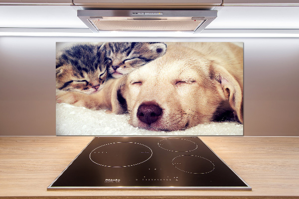 Cooker splashback Puppy and cats