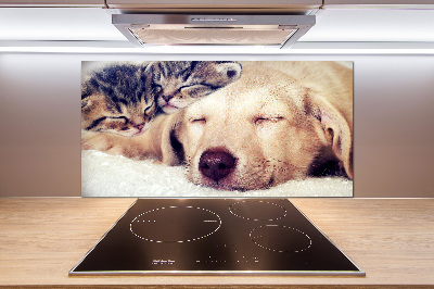 Cooker splashback Puppy and cats