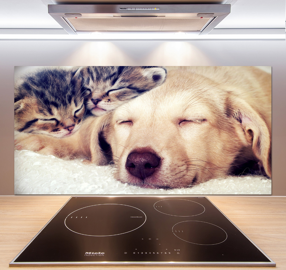 Cooker splashback Puppy and cats