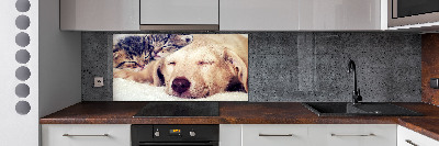 Cooker splashback Puppy and cats