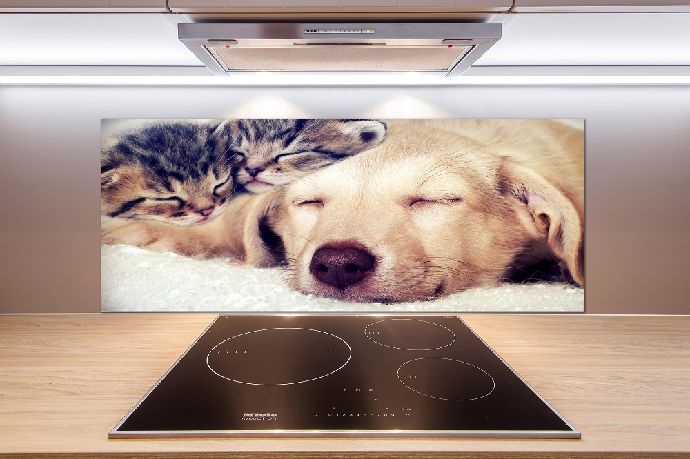 Cooker splashback Puppy and cats