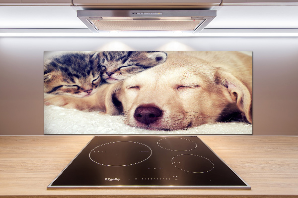 Cooker splashback Puppy and cats