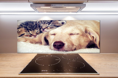 Cooker splashback Puppy and cats