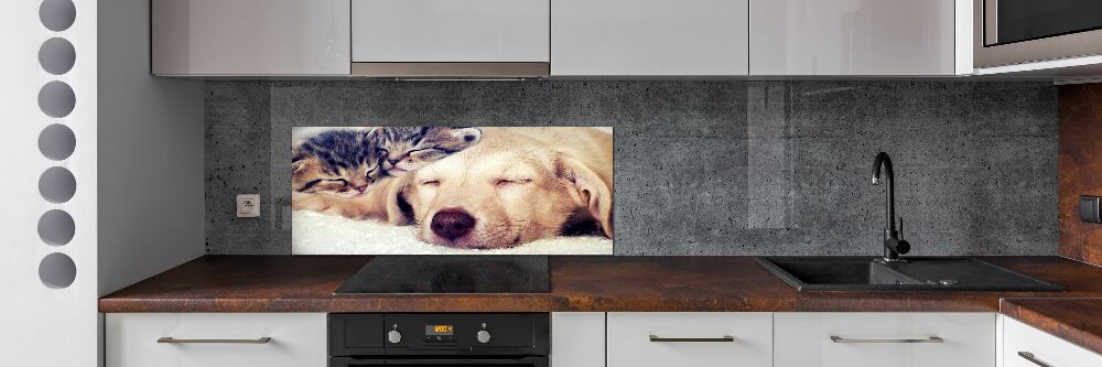 Cooker splashback Puppy and cats