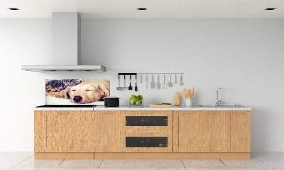 Cooker splashback Puppy and cats