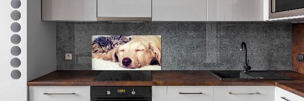 Cooker splashback Puppy and cats