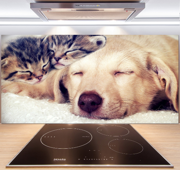 Cooker splashback Puppy and cats