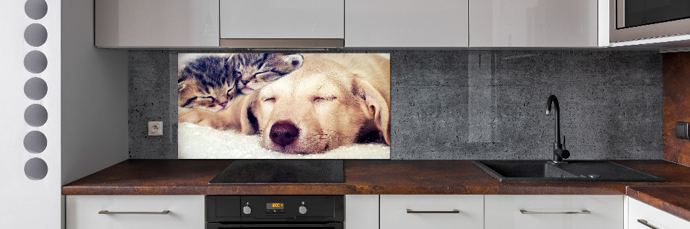 Cooker splashback Puppy and cats