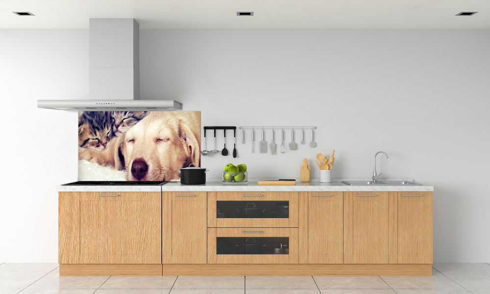 Cooker splashback Puppy and cats