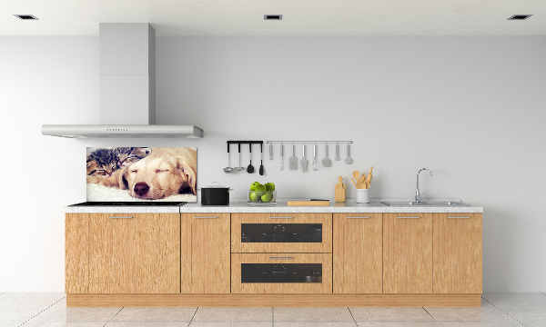 Cooker splashback Puppy and cats