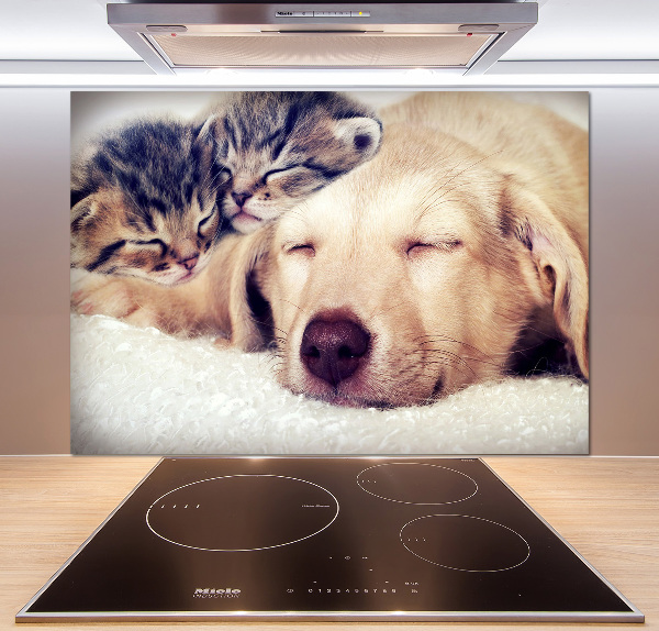 Cooker splashback Puppy and cats