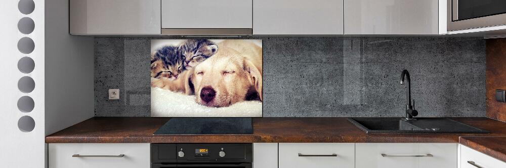 Cooker splashback Puppy and cats