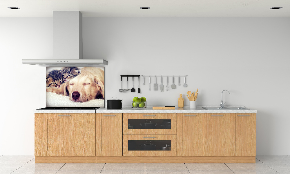 Cooker splashback Puppy and cats