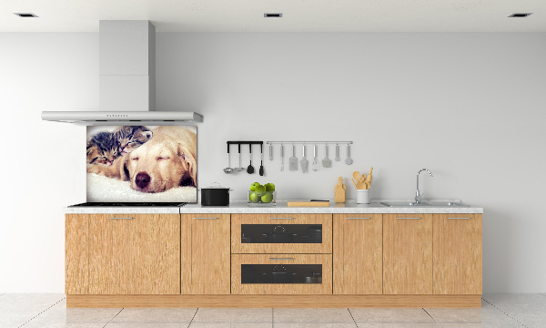 Cooker splashback Puppy and cats