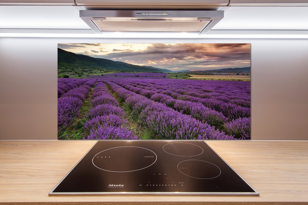 Kitchen splashback Lavender field