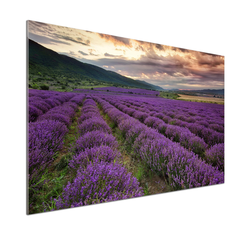 Kitchen splashback Lavender field