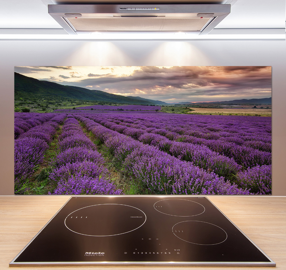 Kitchen splashback Lavender field