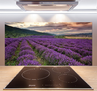 Kitchen splashback Lavender field