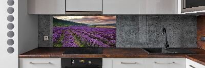 Kitchen splashback Lavender field