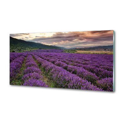 Kitchen splashback Lavender field