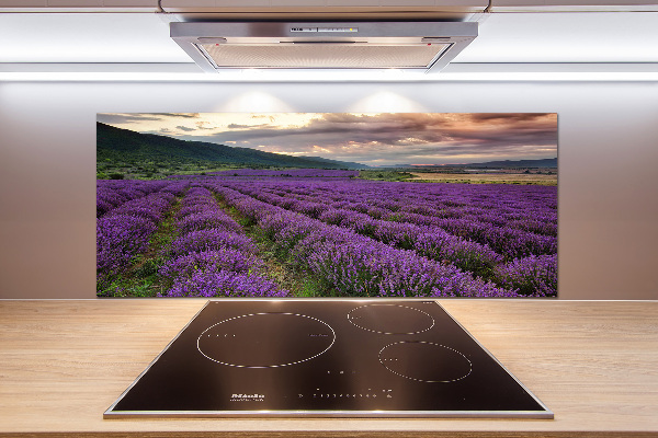 Kitchen splashback Lavender field