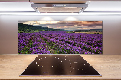 Kitchen splashback Lavender field