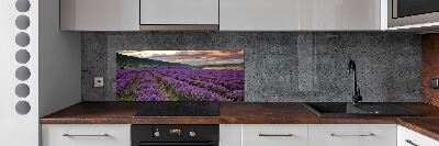 Kitchen splashback Lavender field