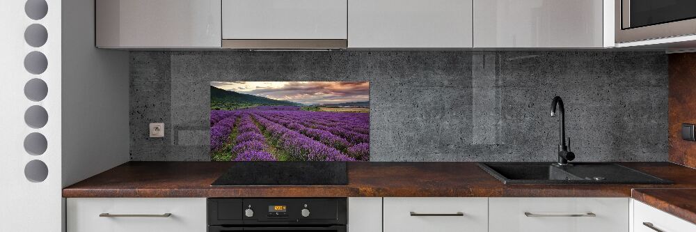 Kitchen splashback Lavender field