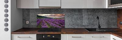 Kitchen splashback Lavender field