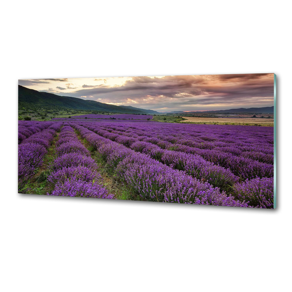 Kitchen splashback Lavender field