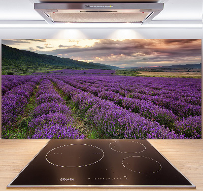 Kitchen splashback Lavender field