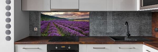 Kitchen splashback Lavender field