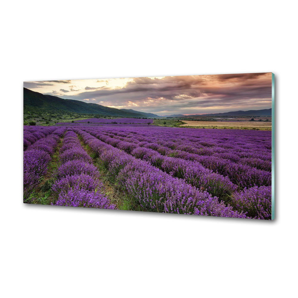 Kitchen splashback Lavender field