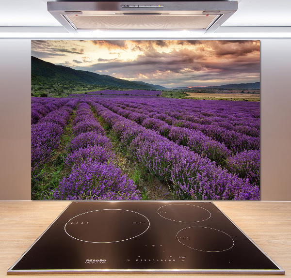 Kitchen splashback Lavender field