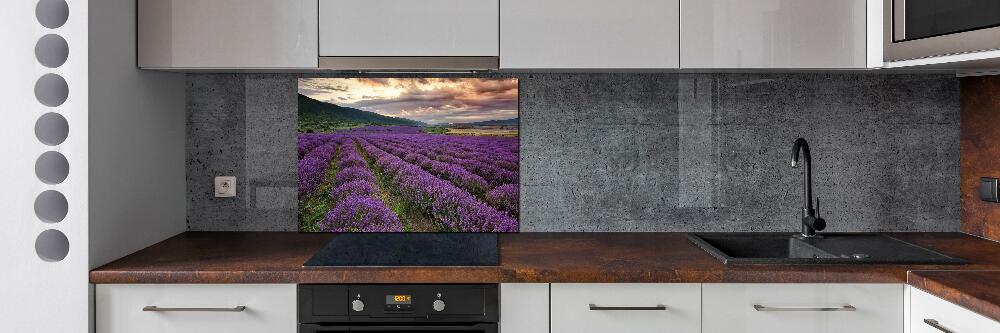 Kitchen splashback Lavender field